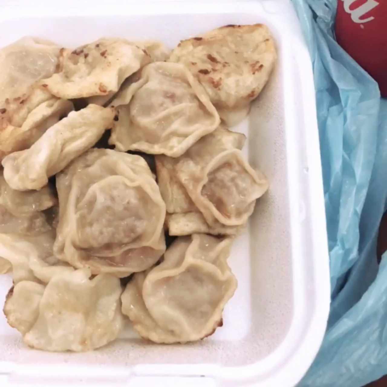 dumplings kimchi con puerco