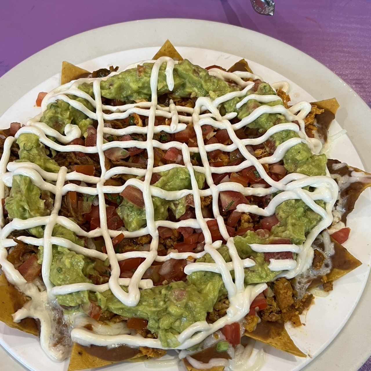 Nacho especial mixto. Excelente porción para una persona