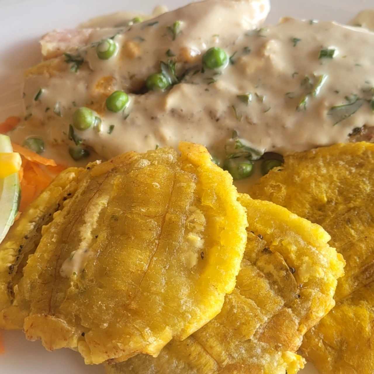 filete caribeño