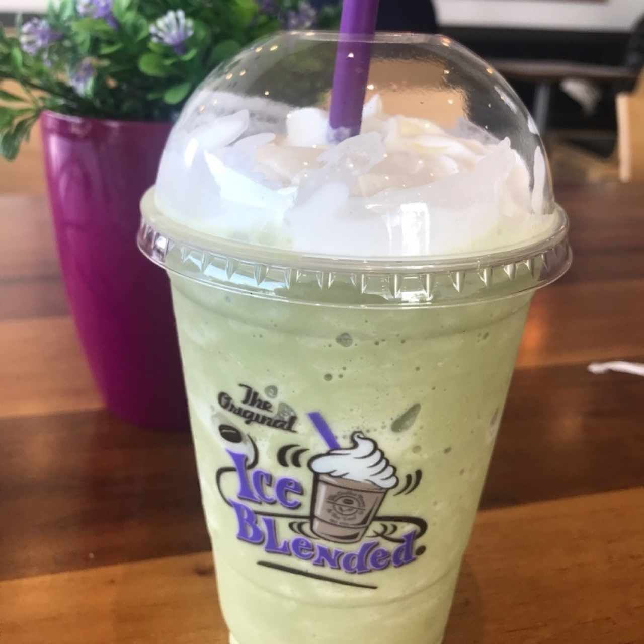 matcha 