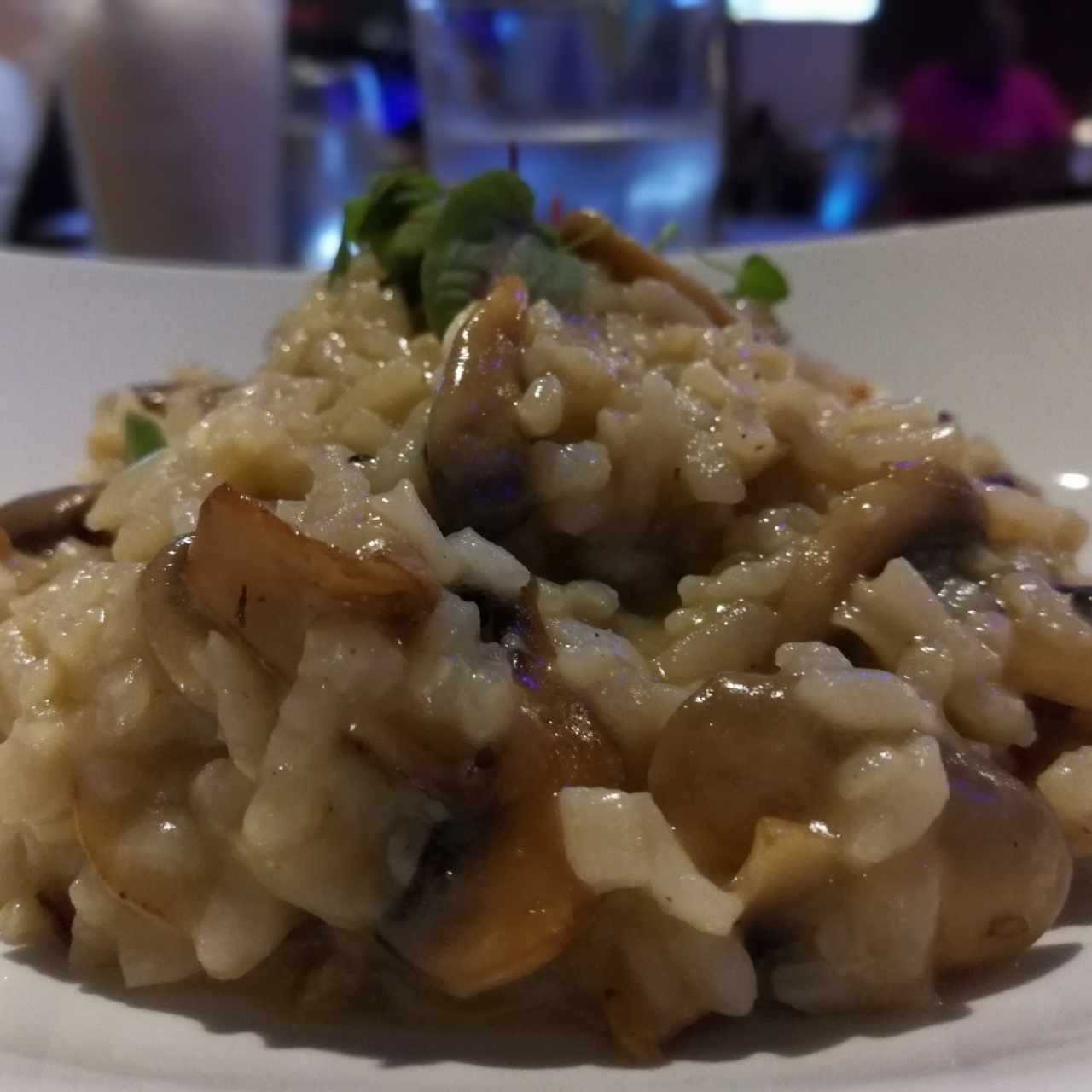 Risotto de Hongos