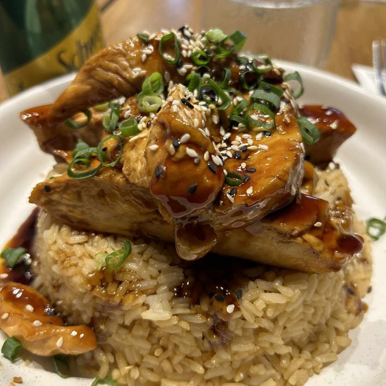 Carnes - Pollo Teriyaki