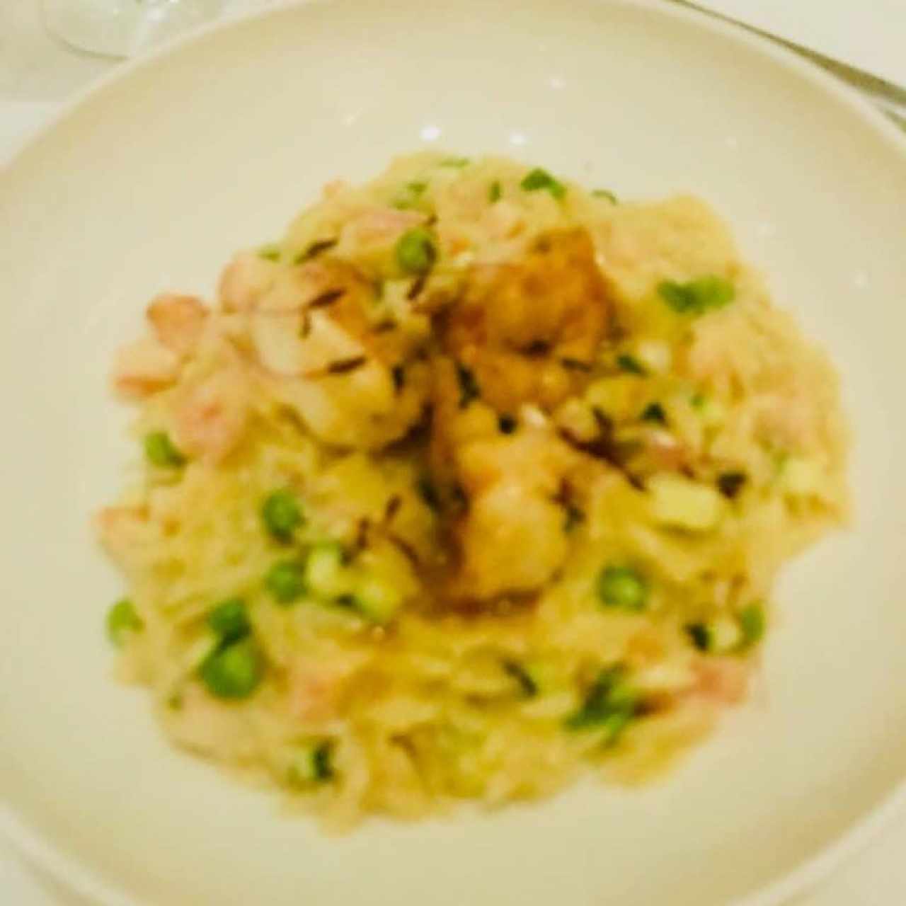 Risotto Orso