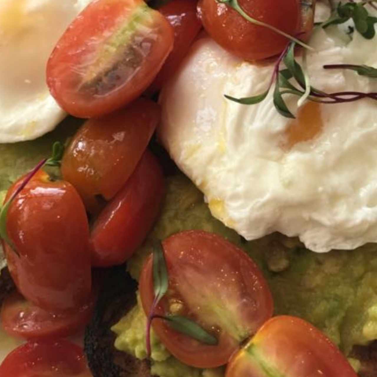 tostadas con Aguacate