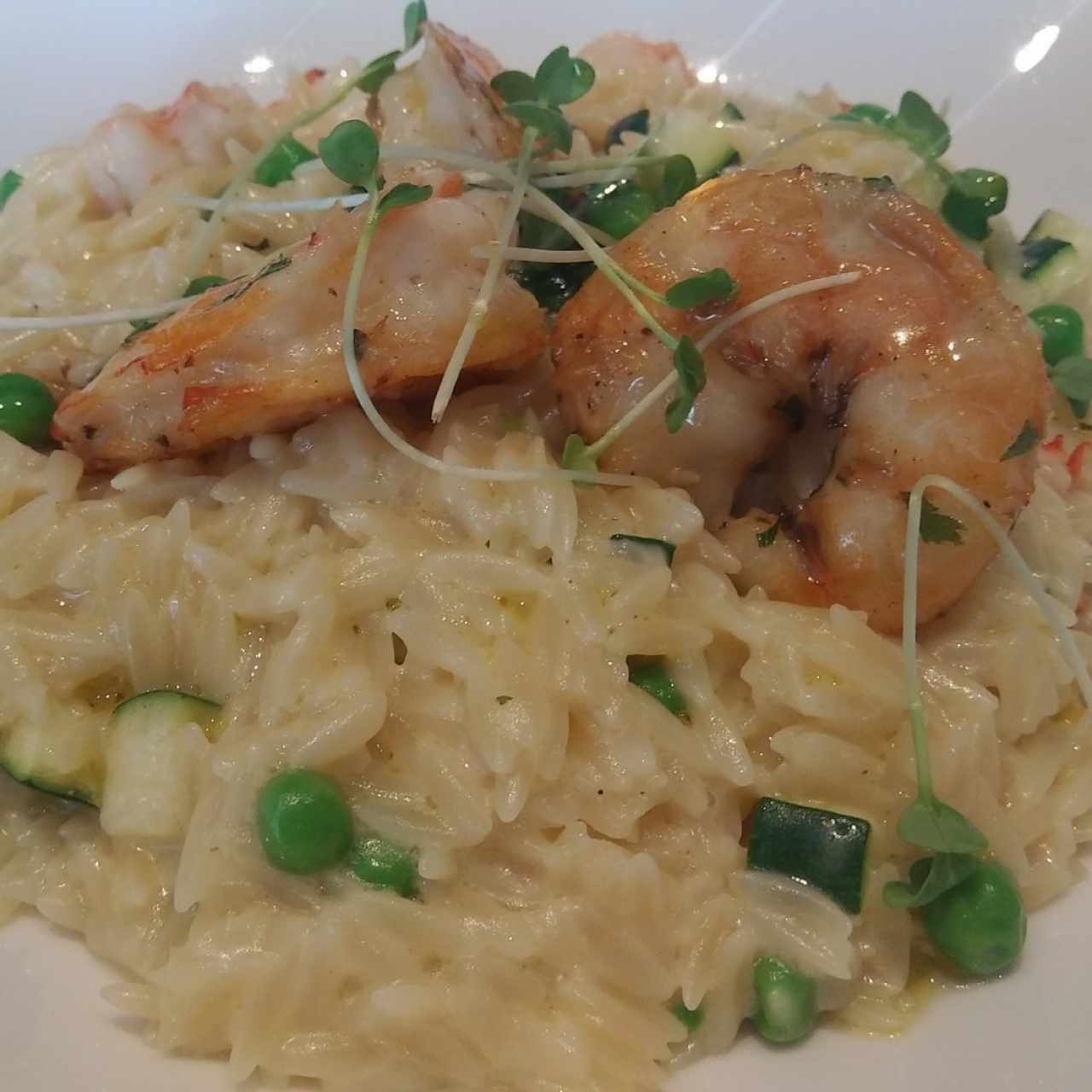 Risotto de Camarón 