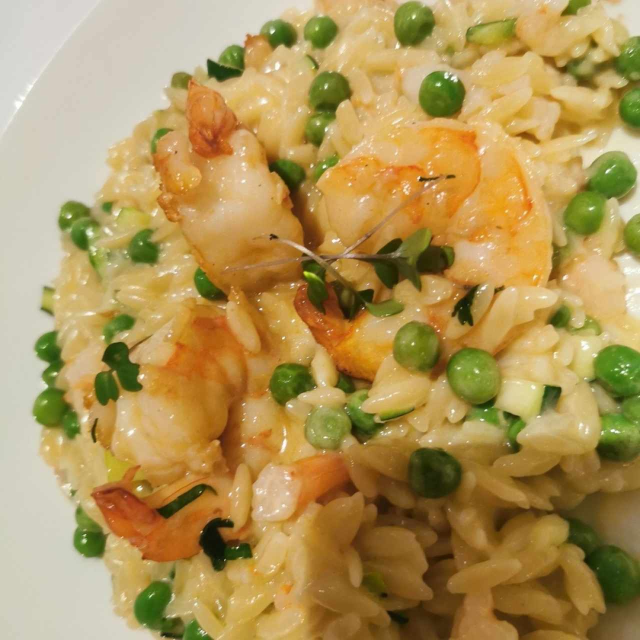 Orzo, preparado como un risotto, camarones rostizados al olio e hierbas