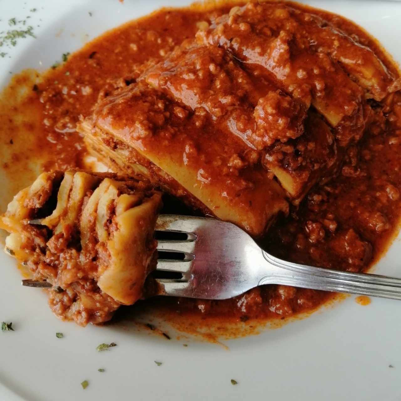 Lasagna de carne