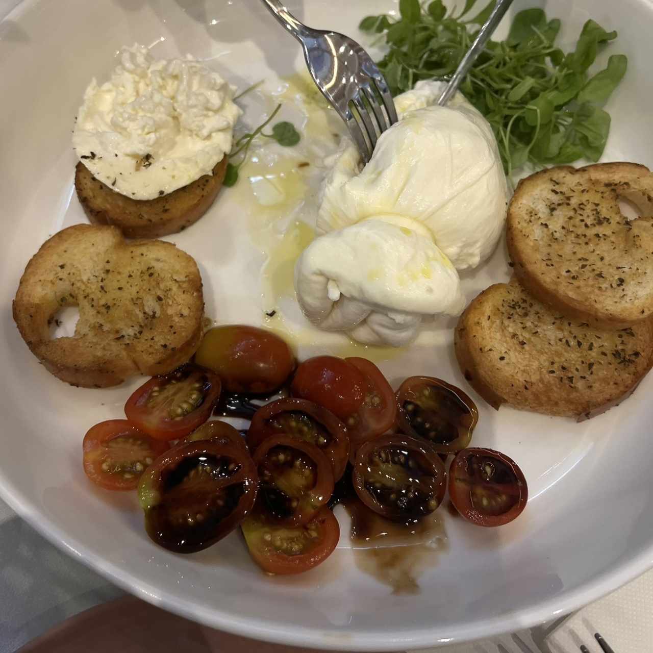 To Share - Burrata