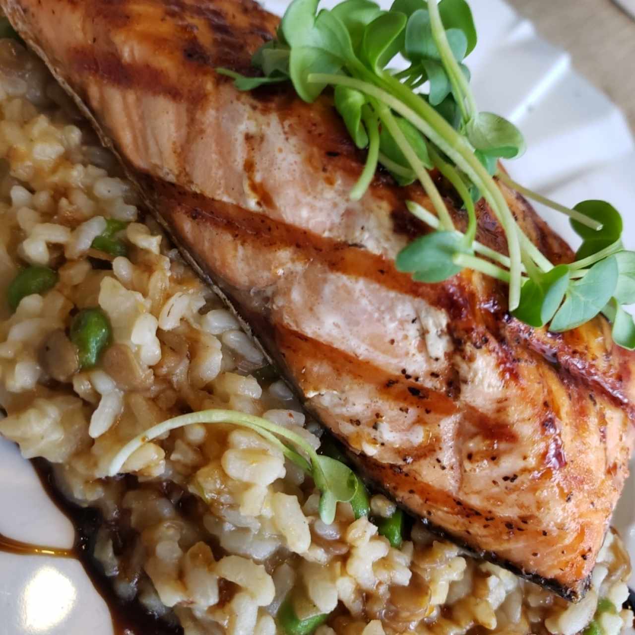 salmón a la plancha con risotto de lentejas 