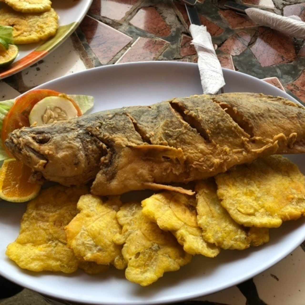 Corvina fito