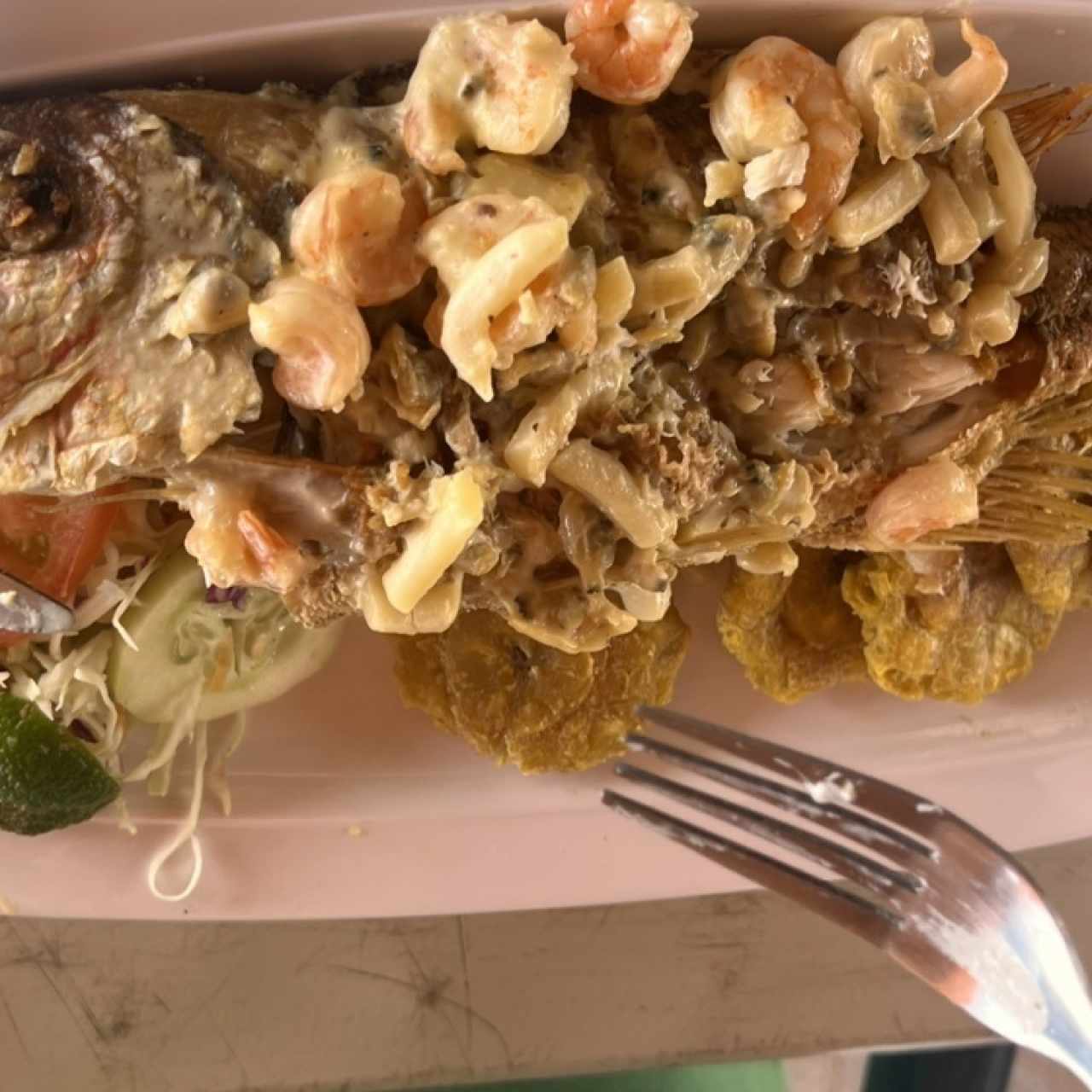 Mariscos - Pargo Veramar