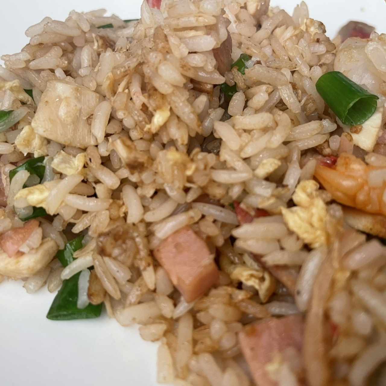 Arroz Frito Especial Kowloon