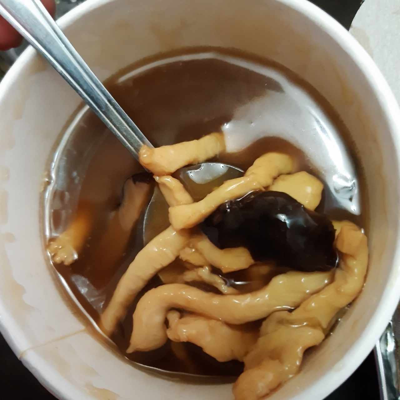 Sopa de Hongos Chinos y Pollo