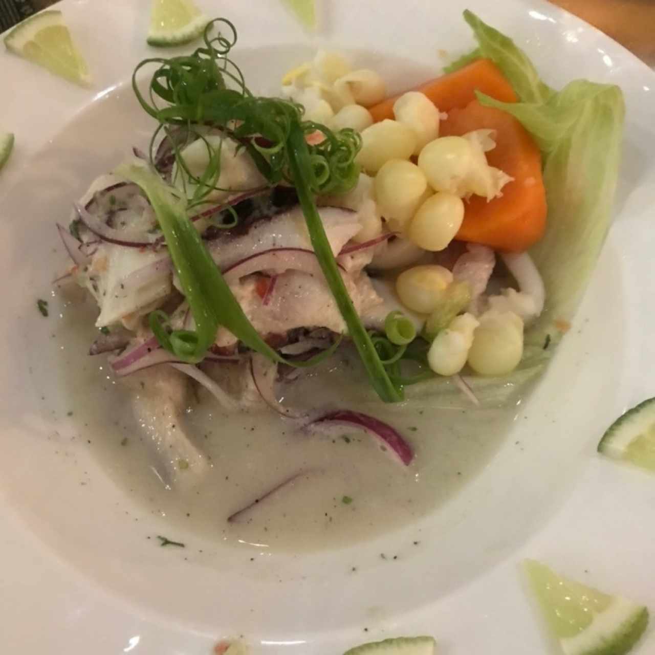 Ceviche Puntarenas