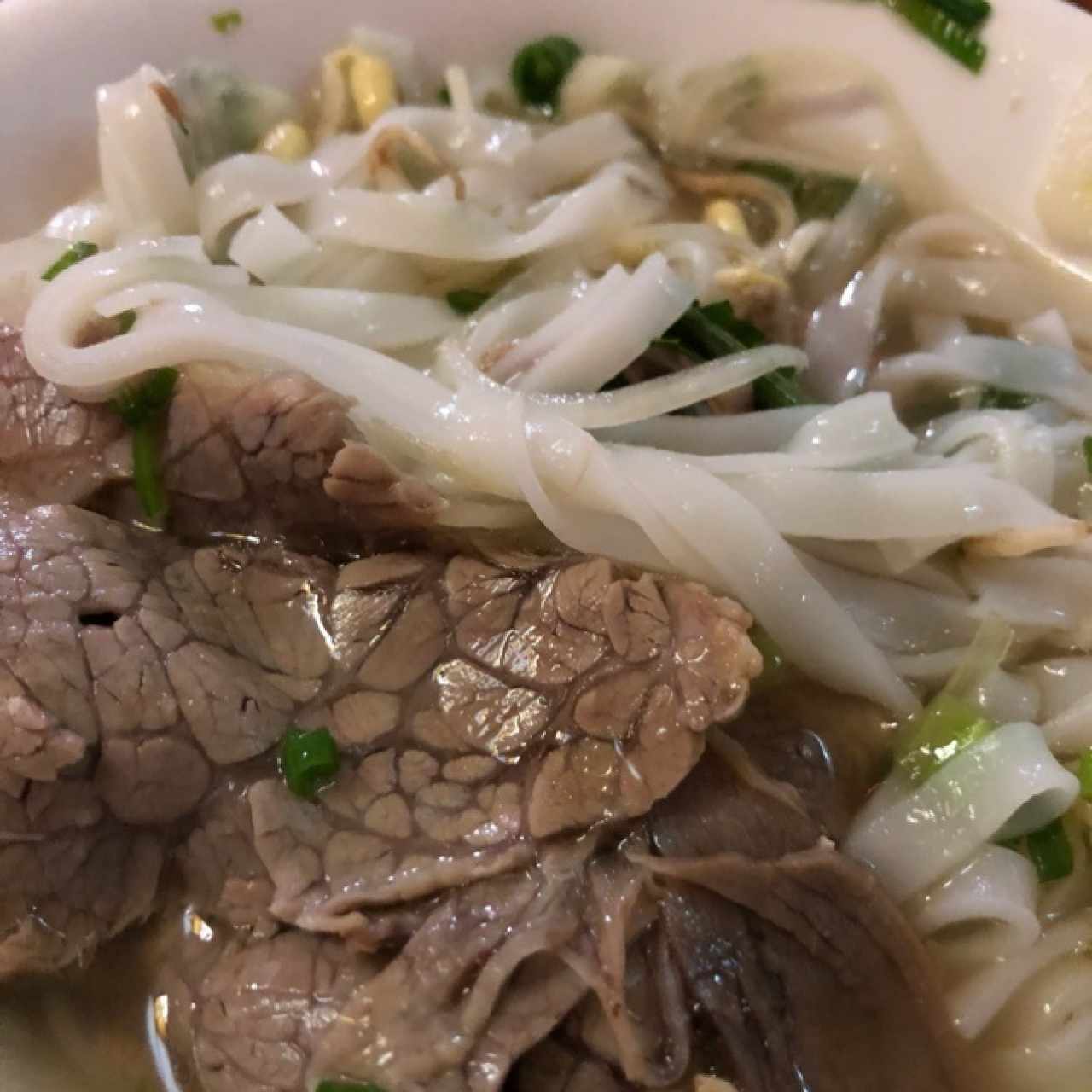 sopa de carne con fideos