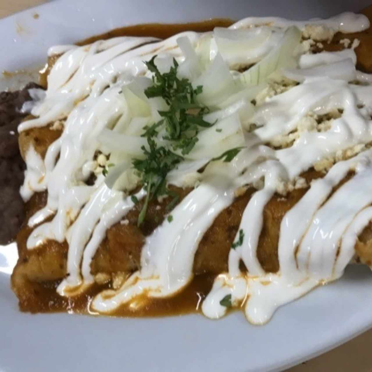 Enchiladas en salsa roja