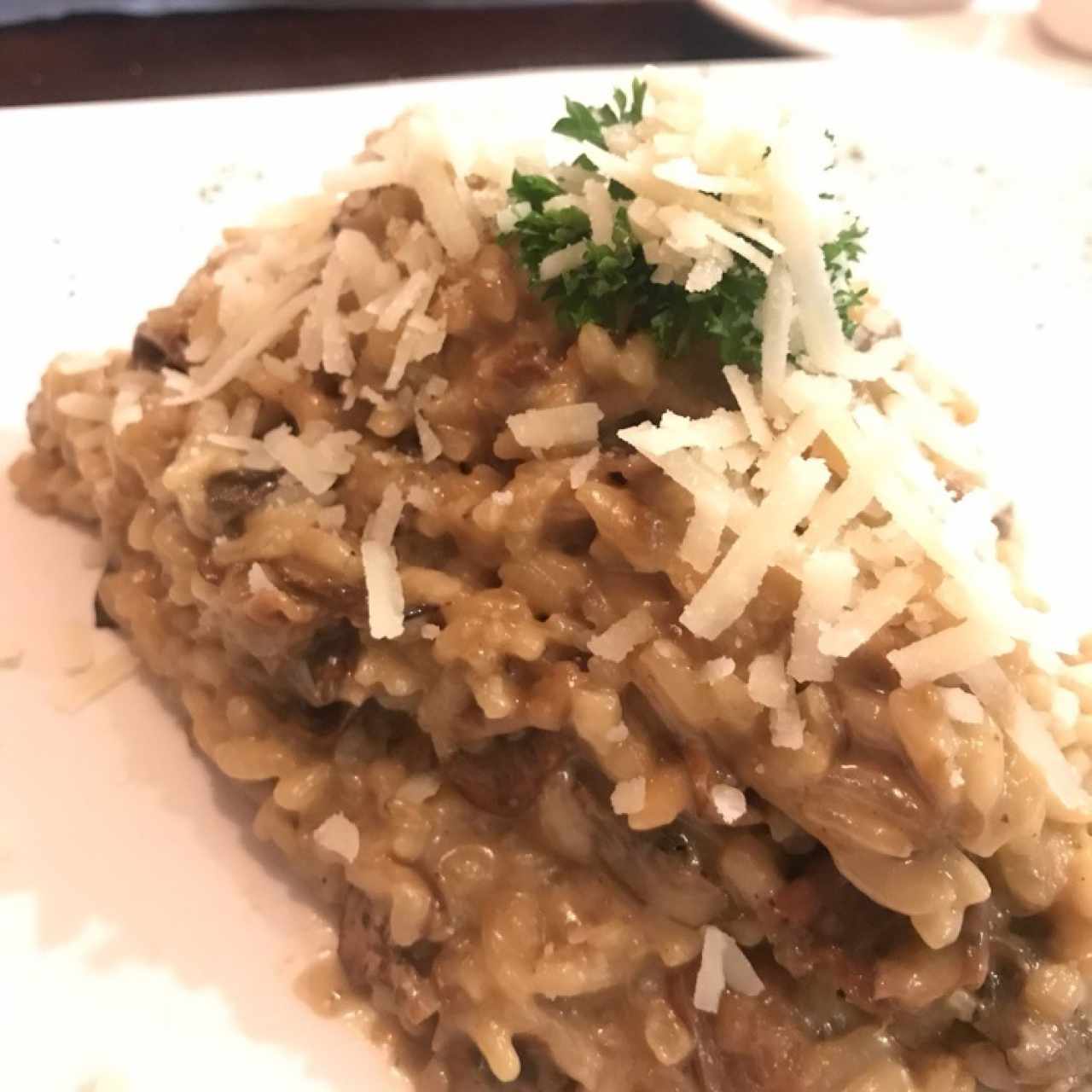 Risotto di Funghi Porcini