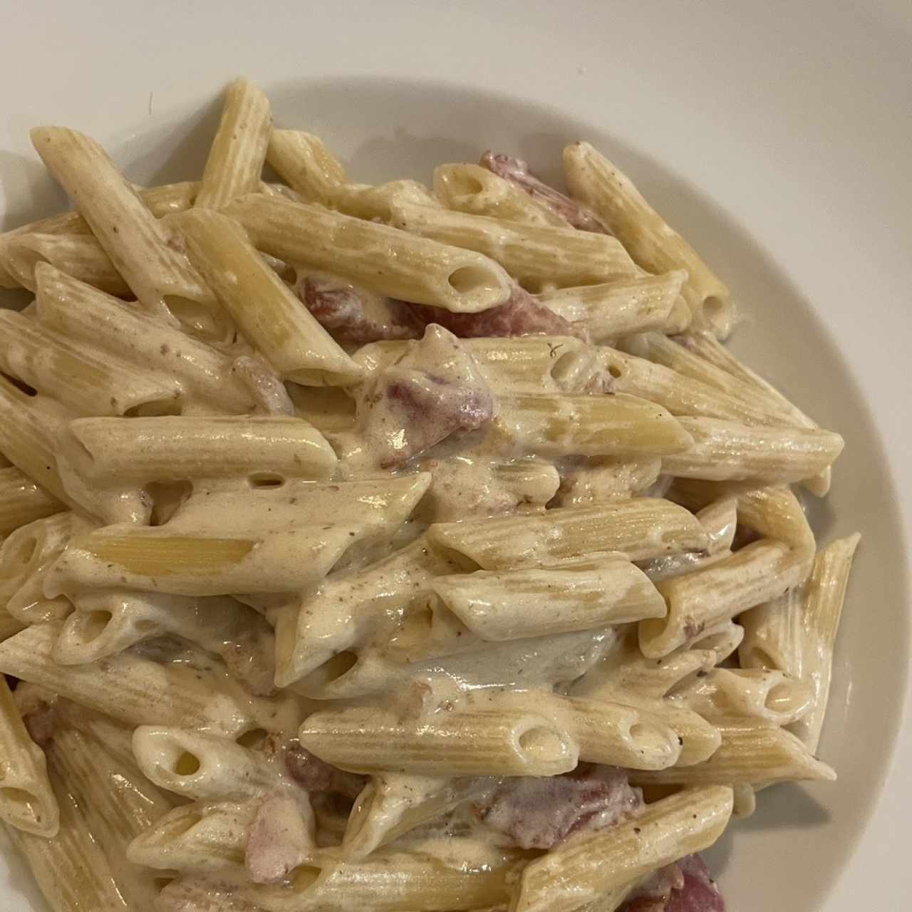 Pastas - Penne Carbonara
