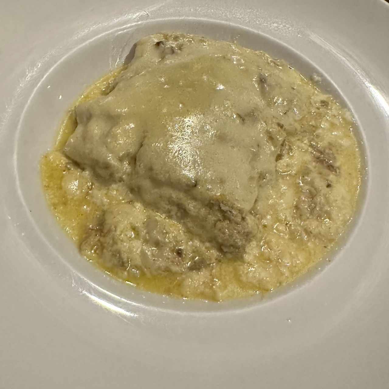 Lasagna - Pollo