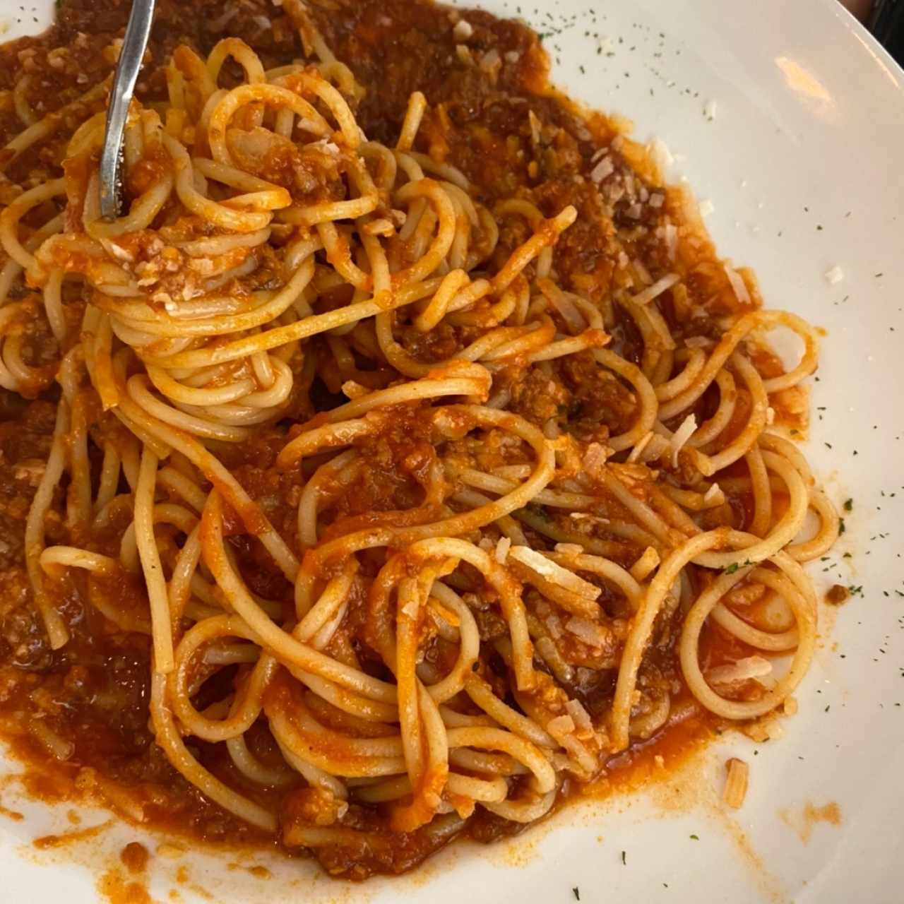 pasta bolognesa