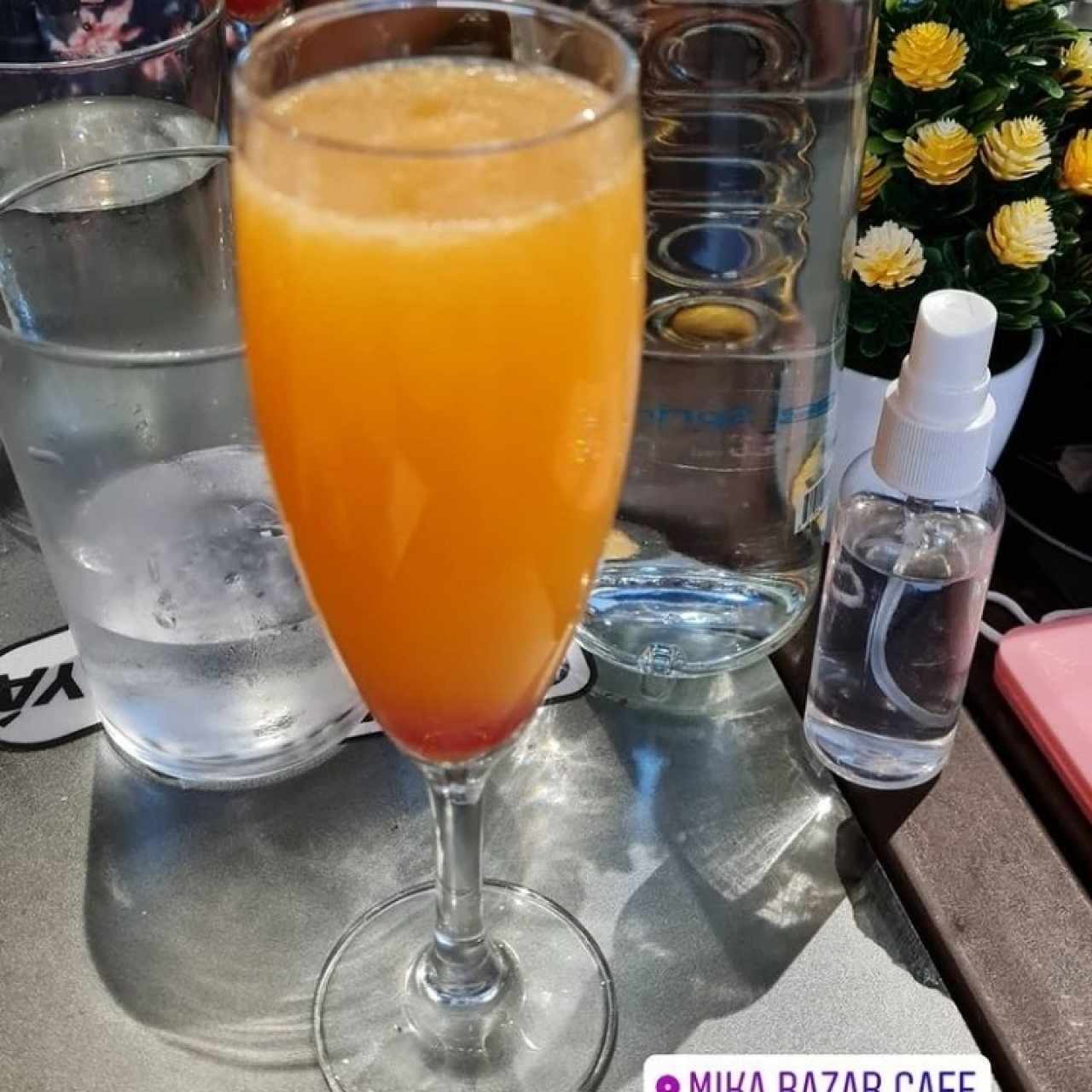 Mimosa 