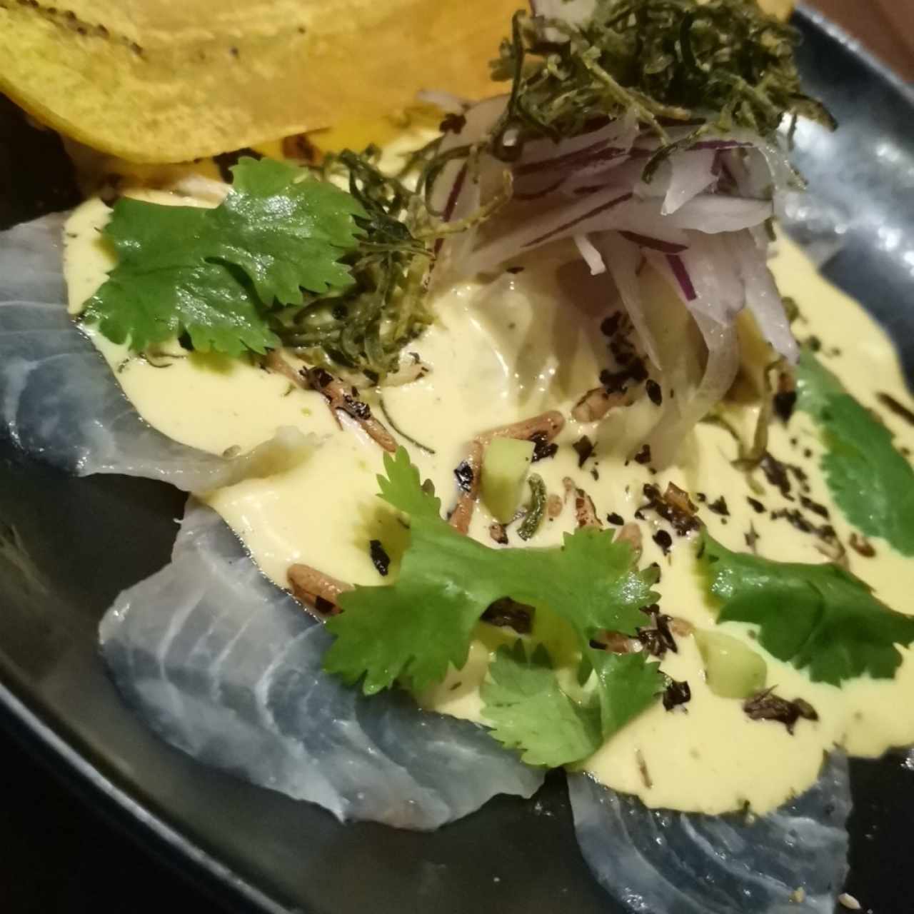 Ceviche de Cobia en Leche Tigre de Ají Amarillo, Aguacate, Puerro y Chips de Plátano