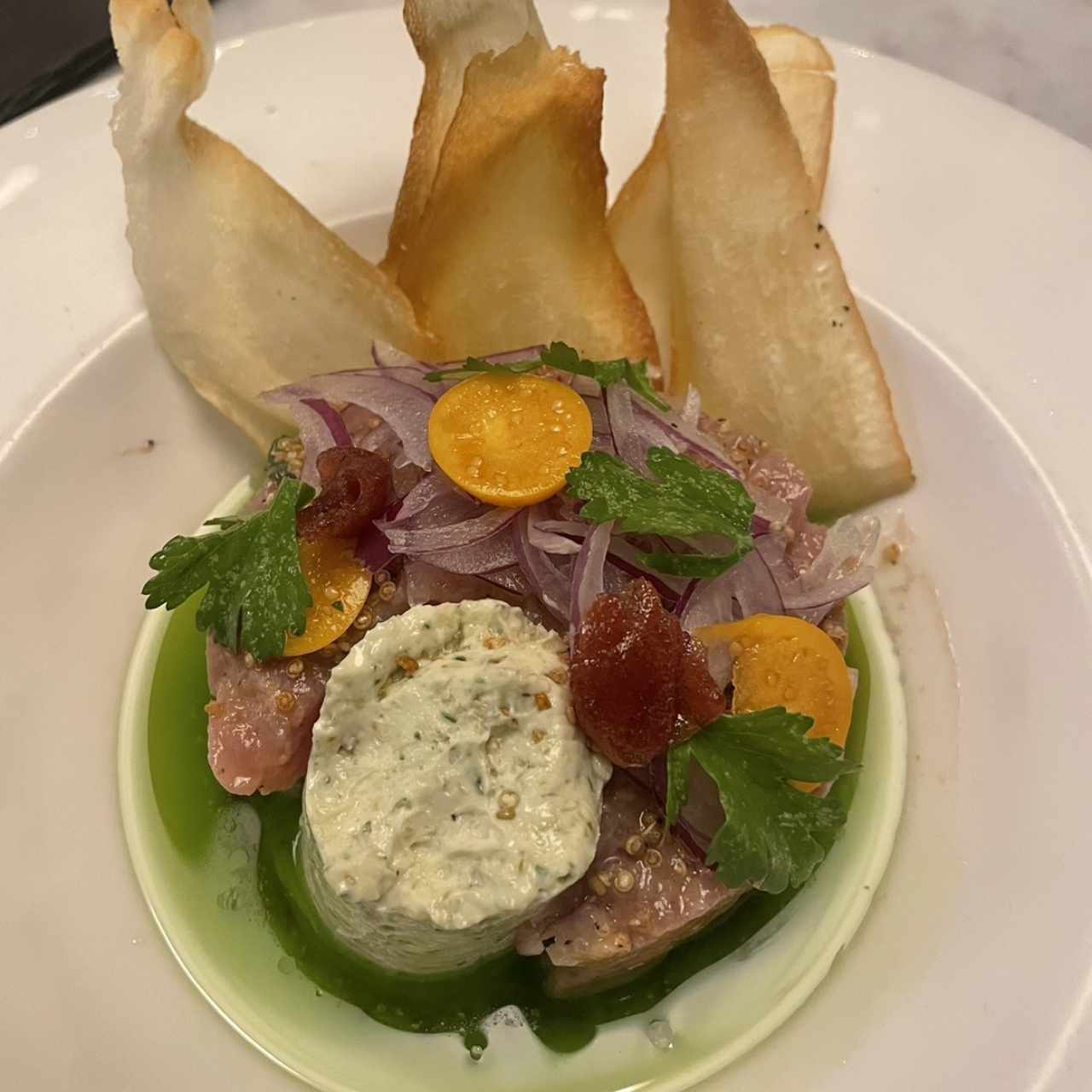 Ceviche de Cobia en Leche Tigre de Ají Amarillo, Aguacate, Puerro y Chips de Plátano