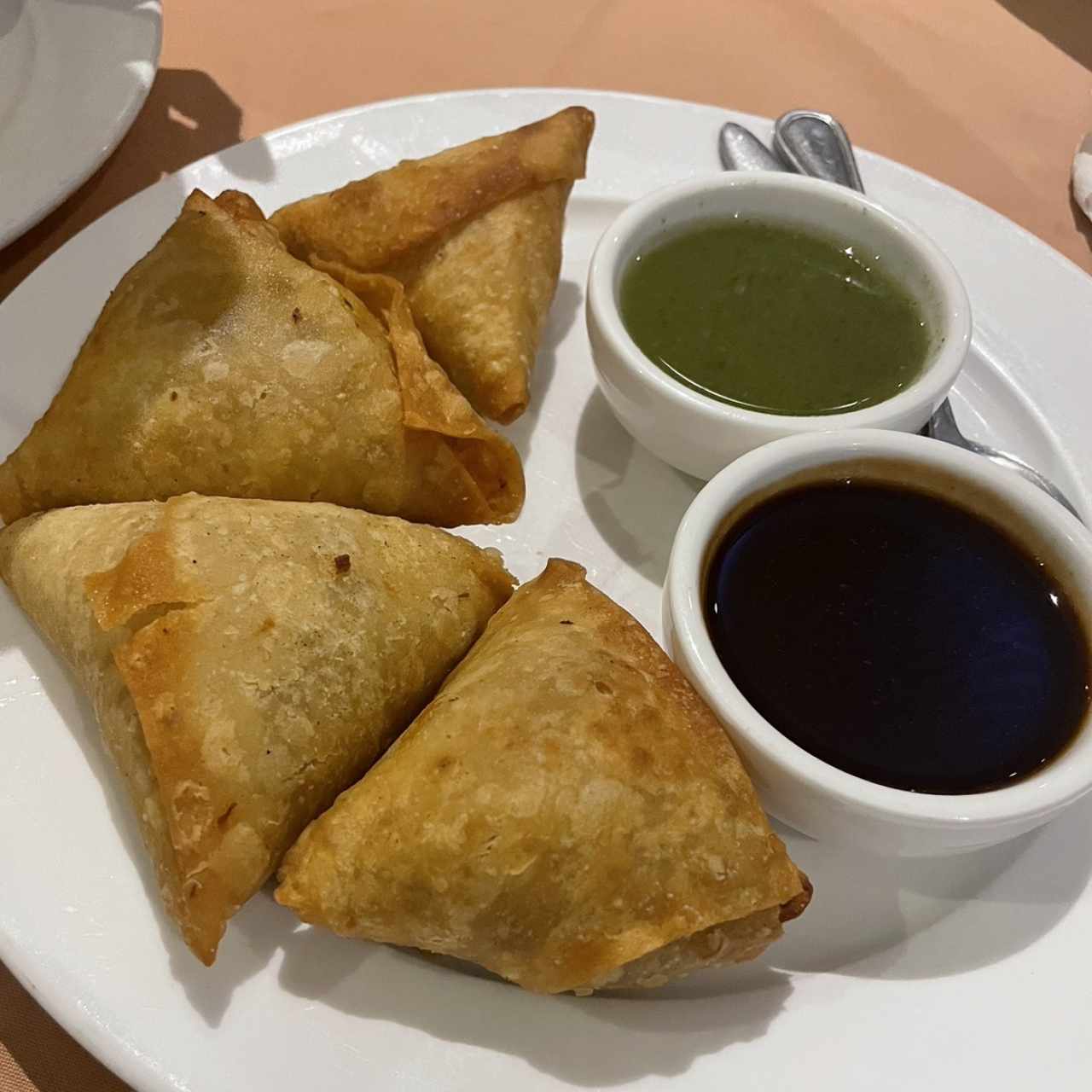 Meat Appetizers - Chicken Samosa