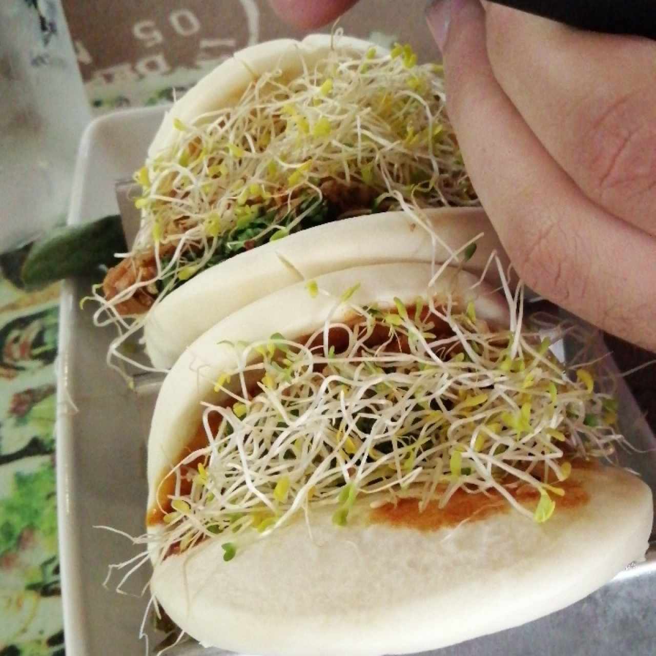 BAO de pollo