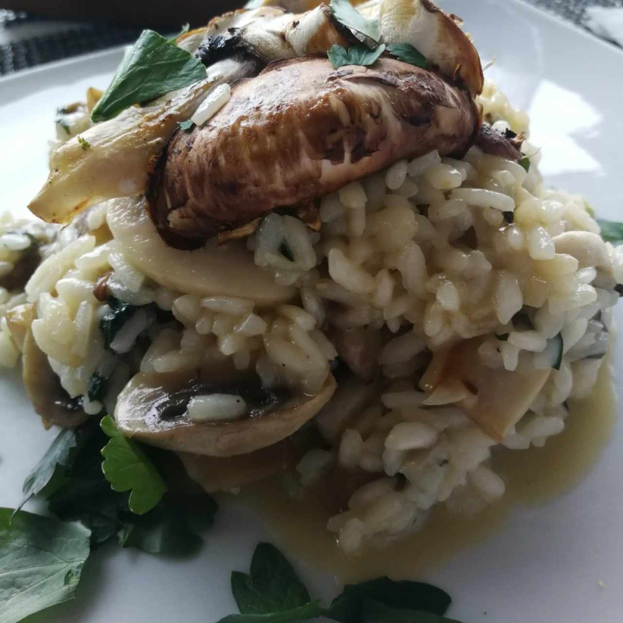 Risotto Fungi 