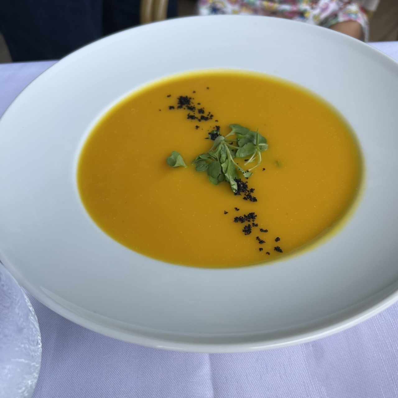 Entradas - Sopa del Día