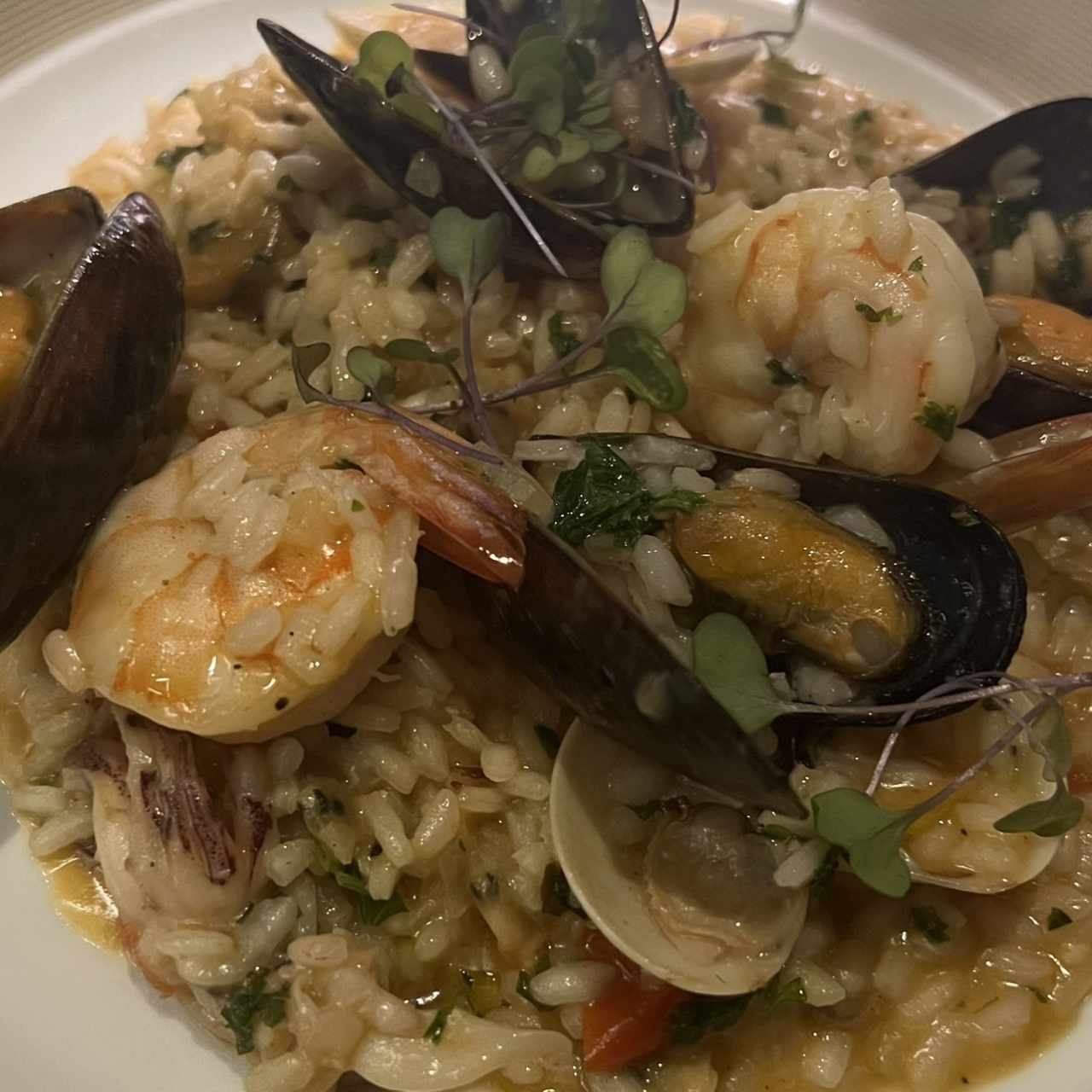 Risotto Fruti Di Mare