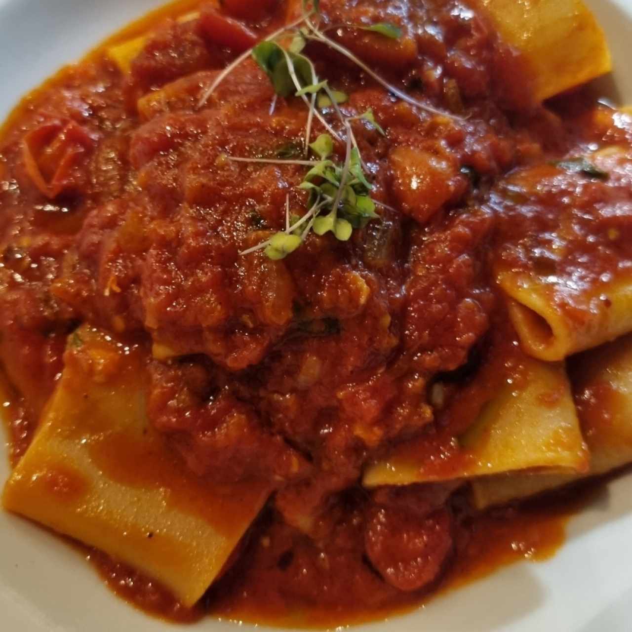 paccheri a la amatricciana