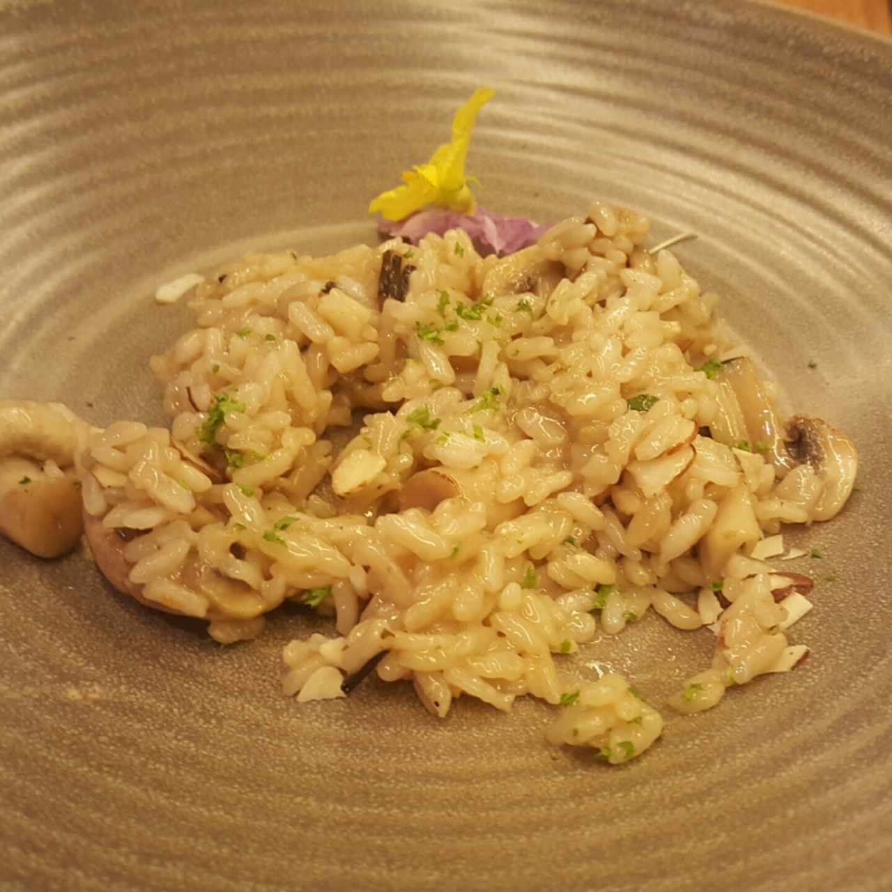 Risotto de Hongos