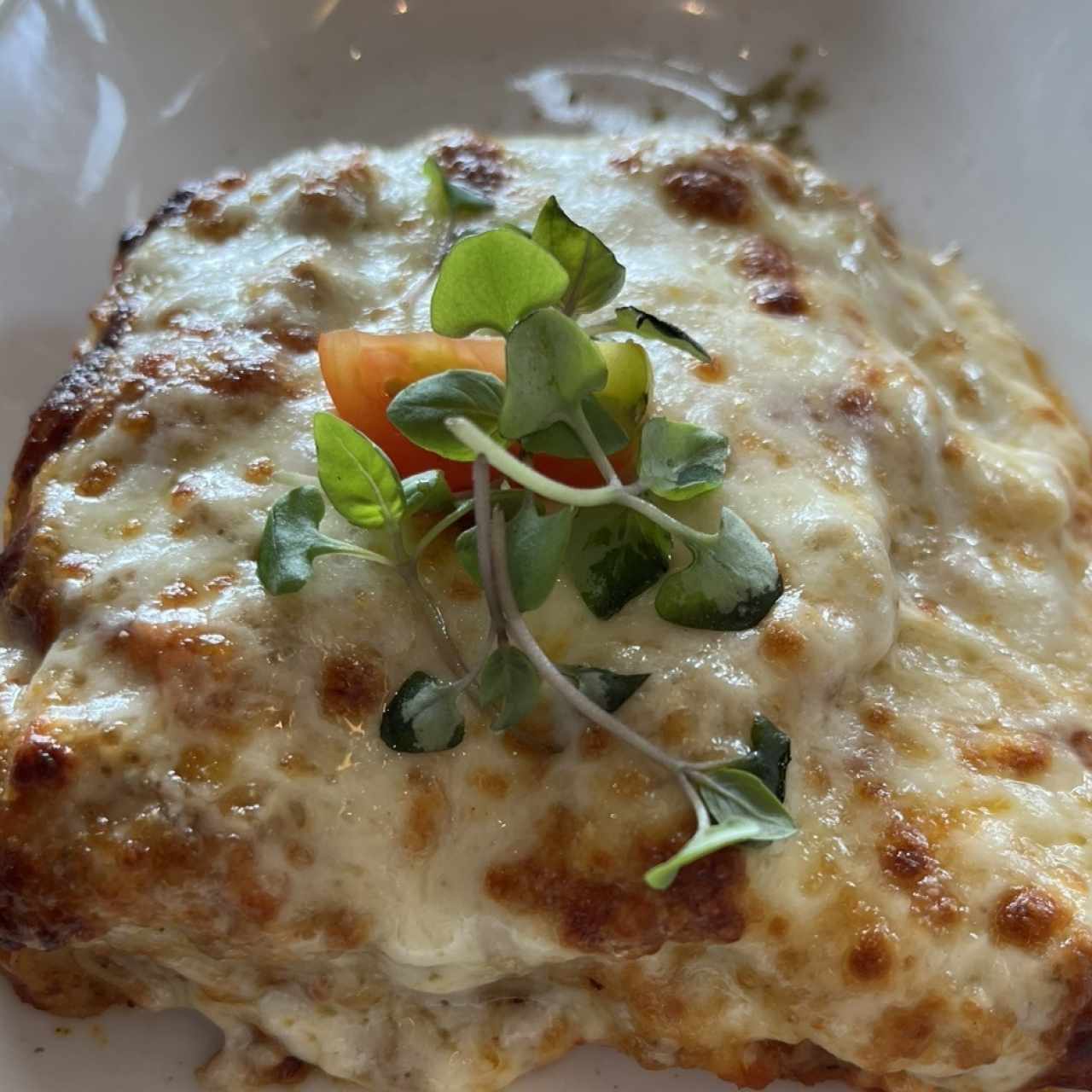 Lasagna di Carne