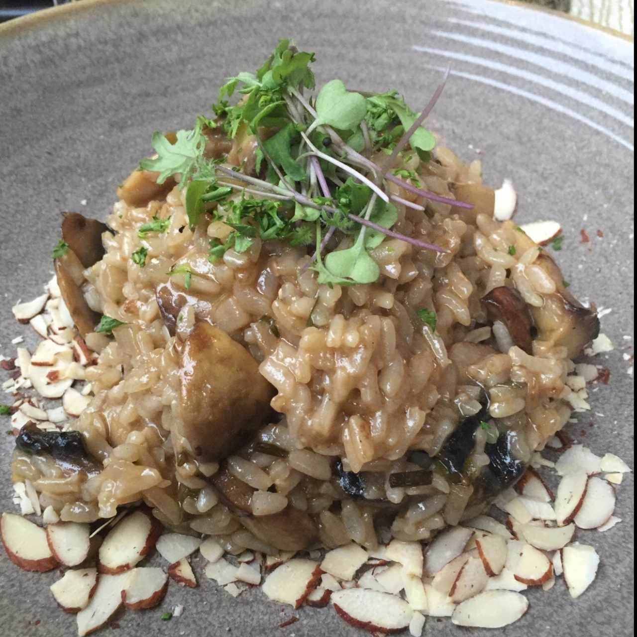 risotto funghi 