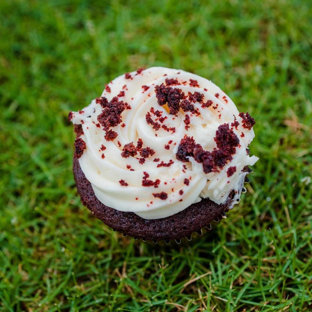 Cupcakes - Red Velvet