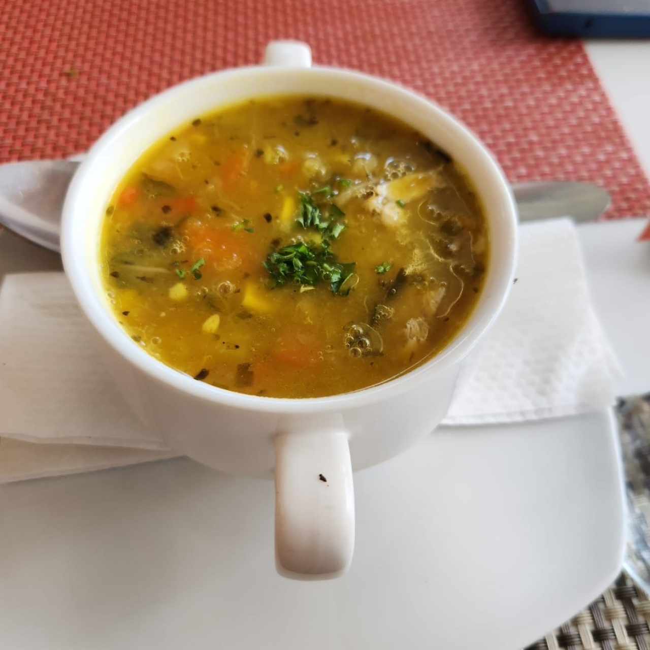 Sopa de Pollo