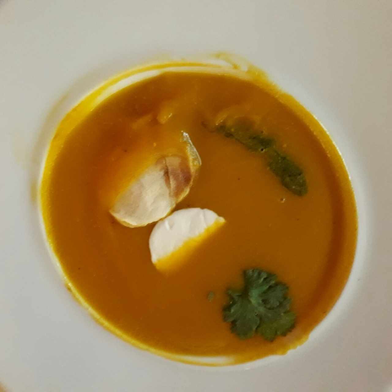 Sopa de zapallo