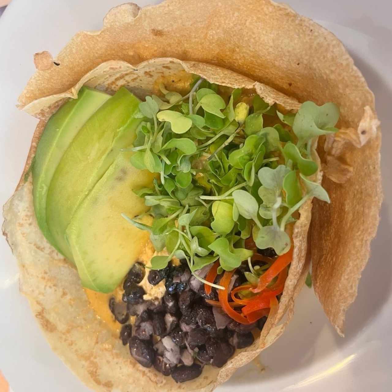 Crepe de pollo Rosarito