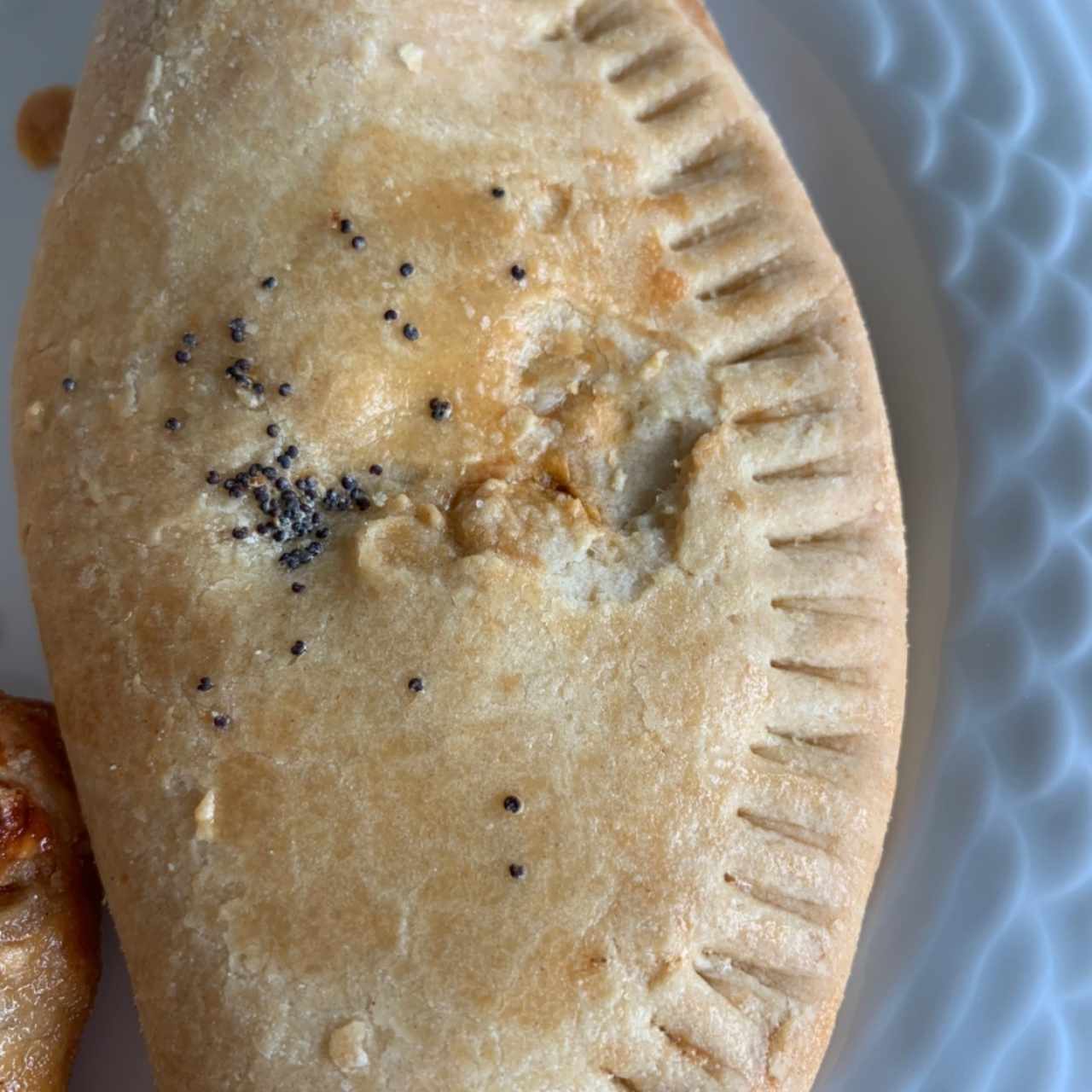 Empanada Chilena de Carne