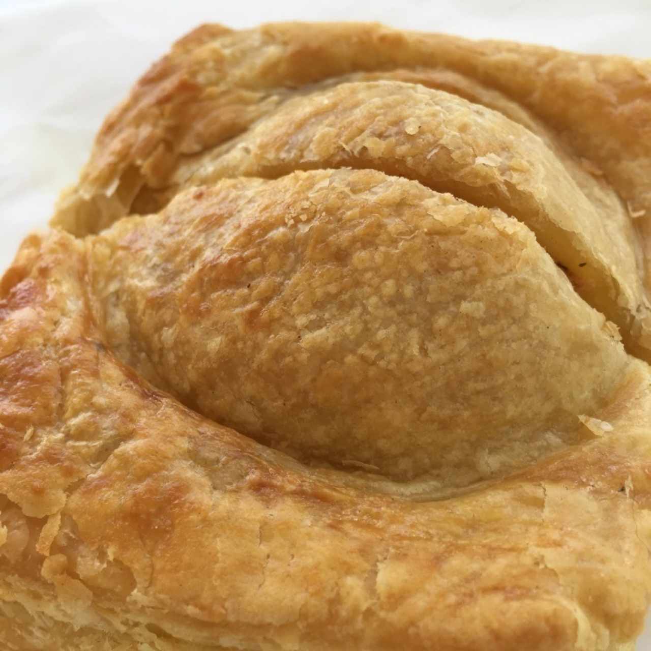 Pastelito de pollo. 