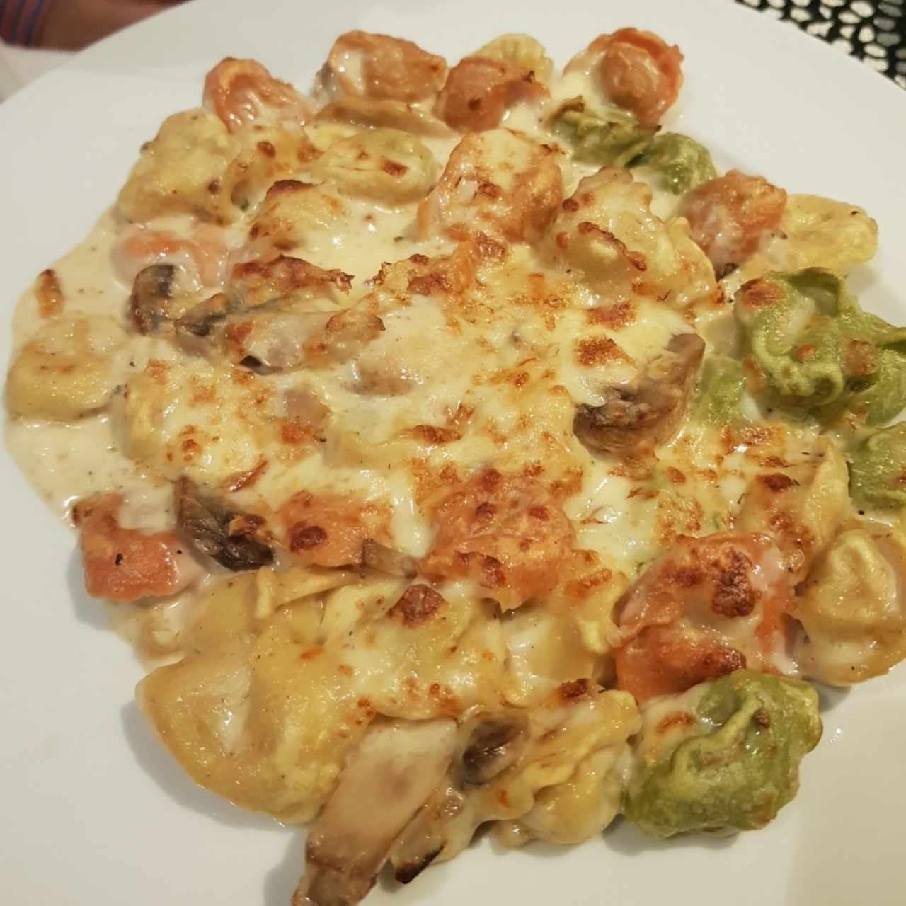 Pasta gratinada con hongos