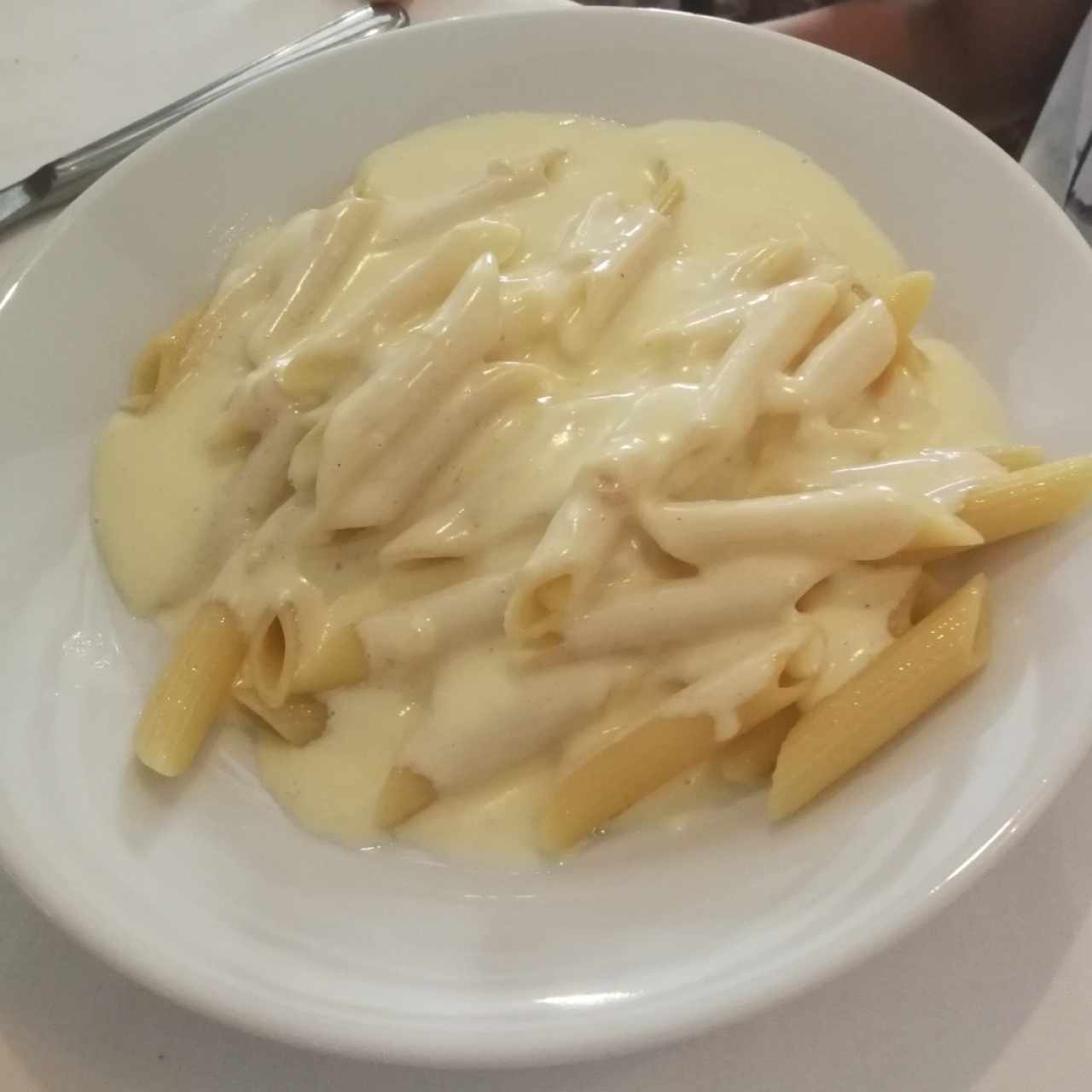 pasta Alfredo sin jamon