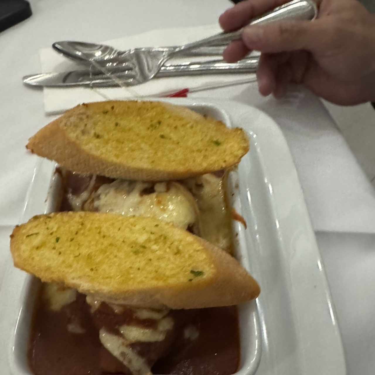 Primi Piatti - Lasaña de Carne
