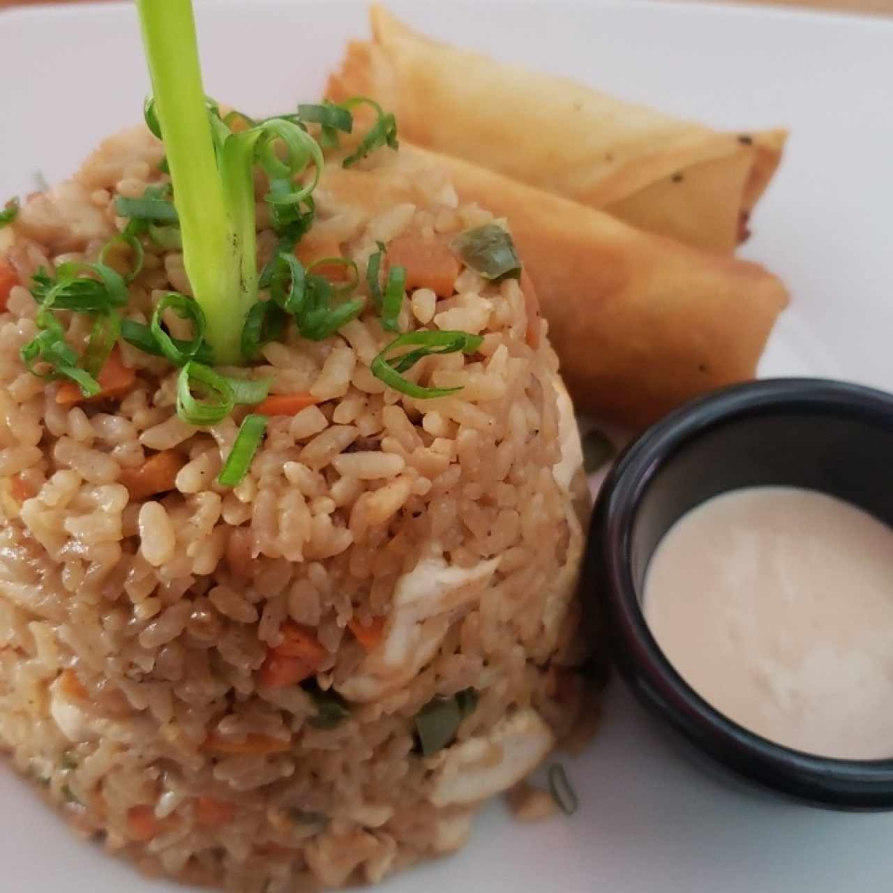 Arroces - Yakimeshi de pollo