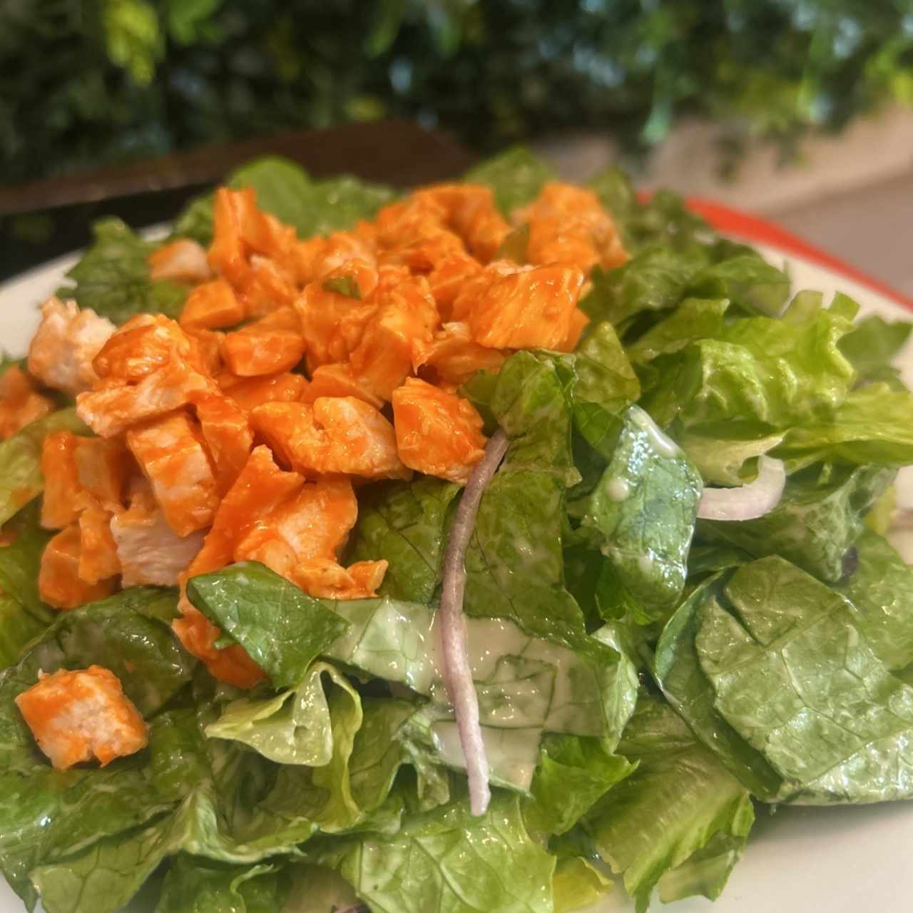 Ensaladas - BUFFALO BLUE CHICKEN