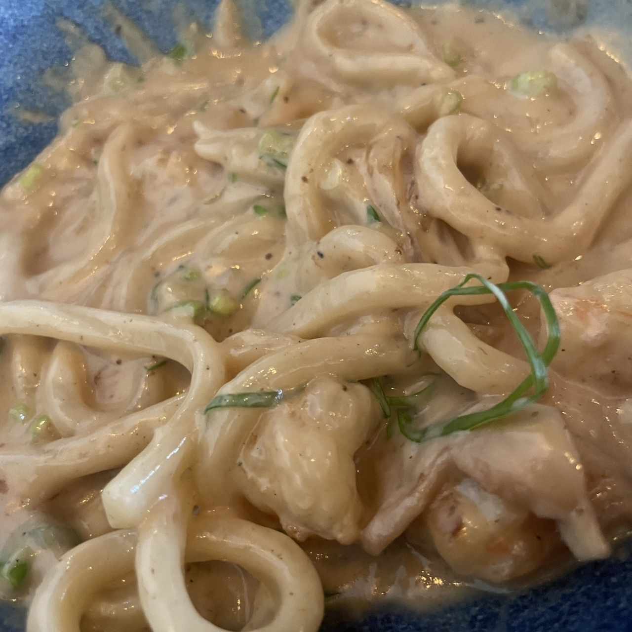 Umami Udon