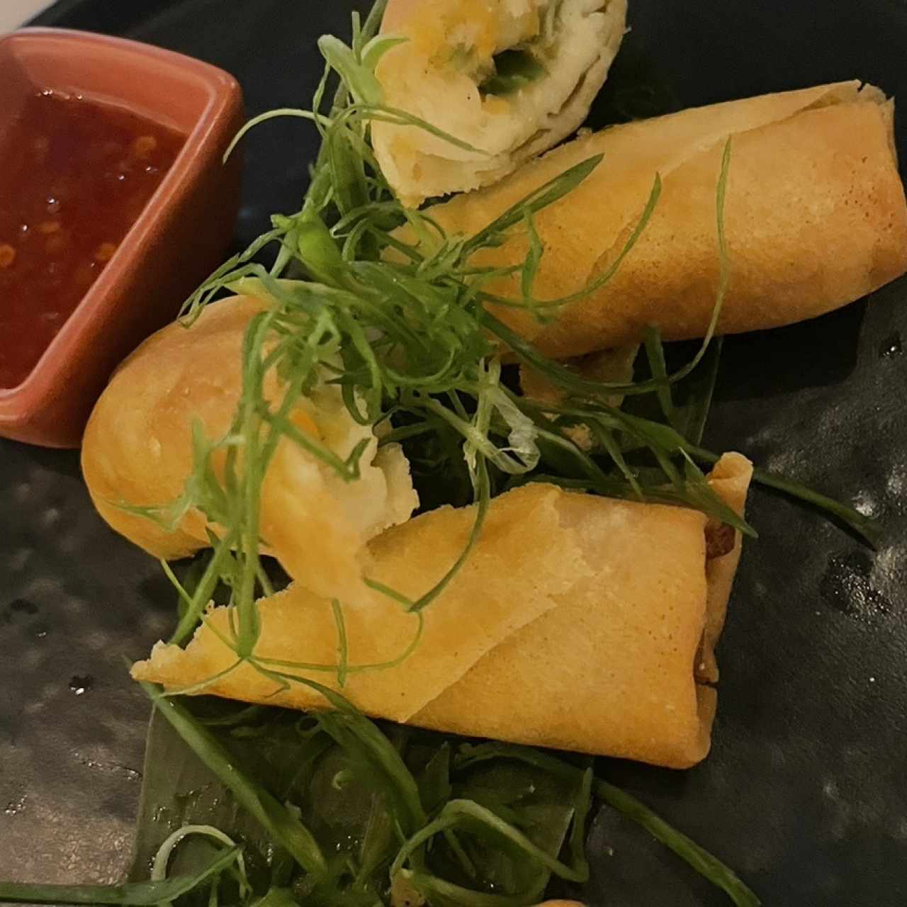 Entradas - Spring Rolls