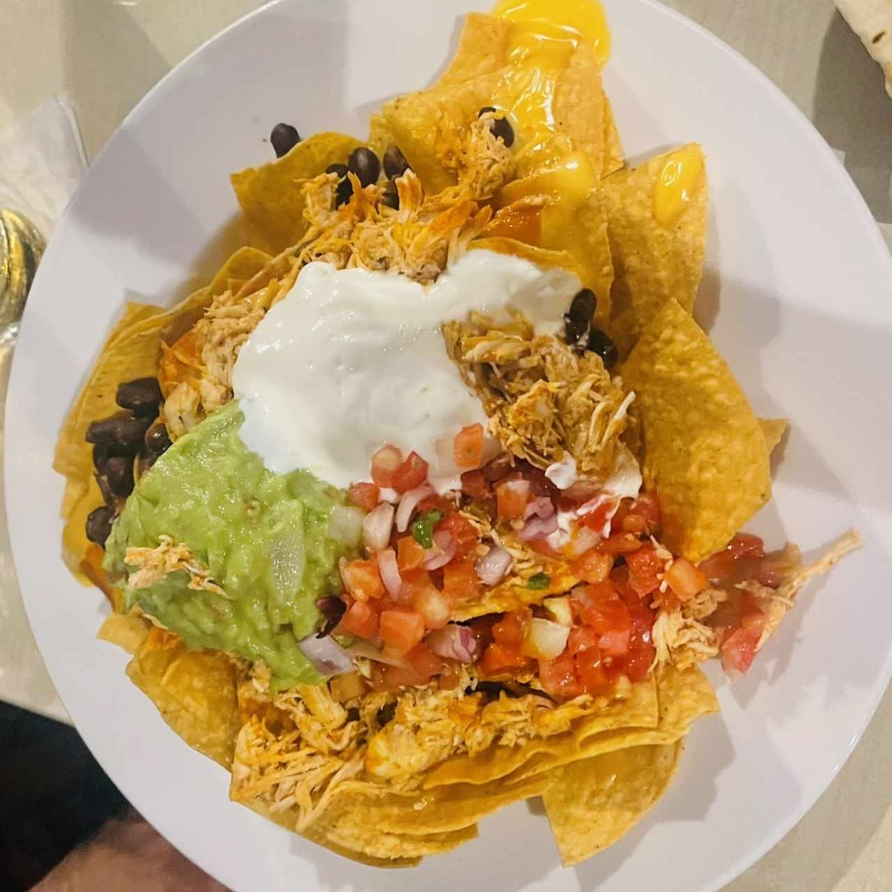 Nachos de pollo 